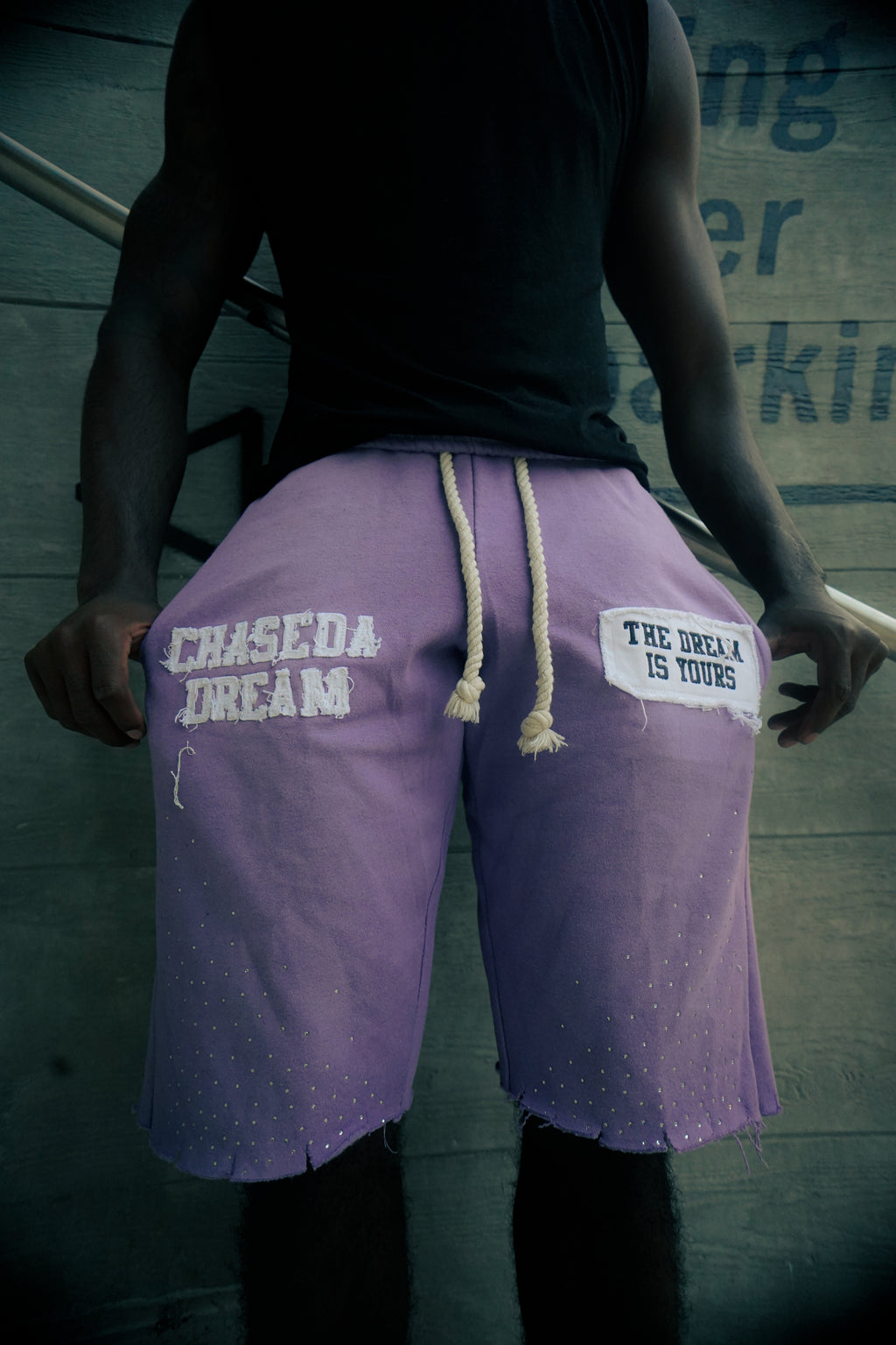 The Dream Is Yours shorts